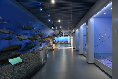 海洋生物展厅